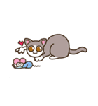 ユーモラスな猫たちの物語（個別スタンプ：16）