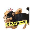 かぼすとあんずⅡ（個別スタンプ：7）