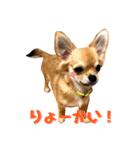 かぼすとあんずⅡ（個別スタンプ：14）
