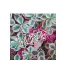 flowershop*（個別スタンプ：5）