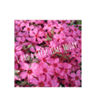 flowershop*（個別スタンプ：11）