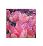 flowershop*（個別スタンプ：20）