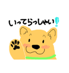 犬のぷるたくん(日常)（個別スタンプ：13）