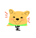 犬のぷるたくん(日常)（個別スタンプ：19）