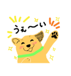 犬のぷるたくん(日常)（個別スタンプ：23）