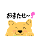 犬のぷるたくん(日常)（個別スタンプ：25）