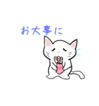 ネコと猫とねこ（個別スタンプ：12）