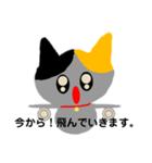 愛猫ちょこ(会話)（個別スタンプ：9）