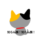愛猫ちょこ(会話)（個別スタンプ：12）