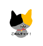 愛猫ちょこ(会話)（個別スタンプ：13）