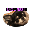 jillスタンプ①（個別スタンプ：4）
