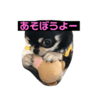 jillスタンプ①（個別スタンプ：7）