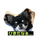 jillスタンプ①（個別スタンプ：8）