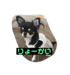 jillスタンプ①（個別スタンプ：9）