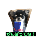 jillスタンプ①（個別スタンプ：18）