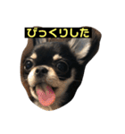 jillスタンプ①（個別スタンプ：20）