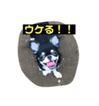 jillスタンプ①（個別スタンプ：21）