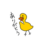 朗らかな人が使っているDuckyのスタンプ（個別スタンプ：2）