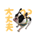 フレンチブルドッグのこはく君（個別スタンプ：31）
