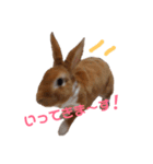 うさぎのめい（個別スタンプ：3）
