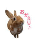うさぎのめい（個別スタンプ：5）