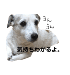 チャコにゅ2（個別スタンプ：17）
