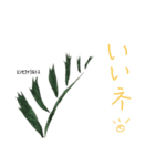 コウモリラン ビカクシダ 珍奇植物（個別スタンプ：6）