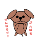 愛犬コロちゃん（個別スタンプ：3）