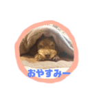 仲良し兄弟王子＆アトム★★（個別スタンプ：5）