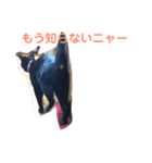 次女、三女 NO1（個別スタンプ：3）