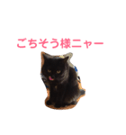 次女、三女 NO1（個別スタンプ：6）