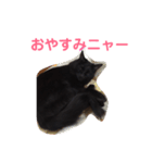 次女、三女 NO1（個別スタンプ：8）