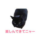 次女、三女 NO1（個別スタンプ：12）