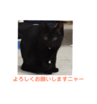 次女、三女 NO1（個別スタンプ：13）
