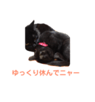 次女、三女 NO1（個別スタンプ：14）