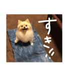 杉山家のベル（個別スタンプ：5）