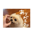 杉山家のベル（個別スタンプ：6）