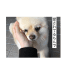 杉山家のベル（個別スタンプ：7）