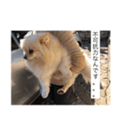 杉山家のベル（個別スタンプ：8）