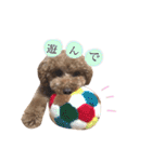 トイプードルのきなこ（個別スタンプ：10）