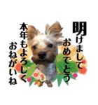 よき子のつぶやき（個別スタンプ：40）