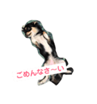 チワワの華さん（個別スタンプ：6）