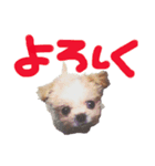 スパンク＆ポテト（個別スタンプ：8）