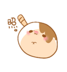 みたらしの物体(みたらしくん)（個別スタンプ：13）