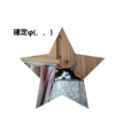 コミュ症ねこ・おしゃまんべ（個別スタンプ：5）