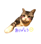 らっくんのスタンプ2（個別スタンプ：8）