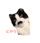 くうたろうスタンプ（個別スタンプ：1）