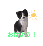 くうたろうスタンプ（個別スタンプ：3）