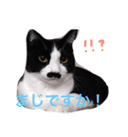 くうたろうスタンプ（個別スタンプ：5）