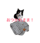 くうたろうスタンプ（個別スタンプ：6）